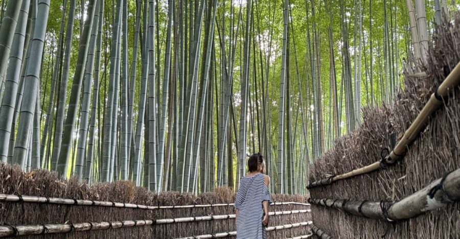 Kyoto: Avoid the Crowds at the Hidden Gems of Arashiyama - Meeting at Saga Arashiyama Station and setting your pace