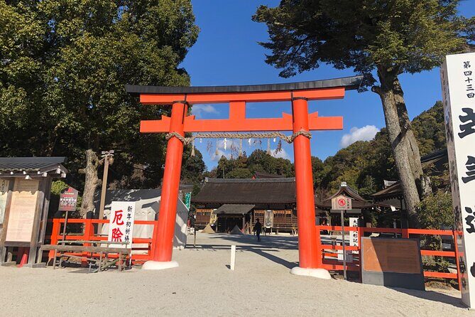 Kyoto Bamboo Forest & Golden Pavilion E-Bike Tour - Arashiyama Bamboo Forest Trail: the 45-minute photo window you’ll actually use