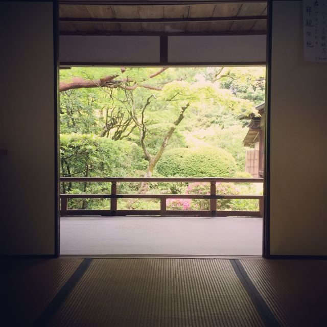 Kyoto: City Secrets eBike Tour - Key Reasons This eBike Tour Works So Well
