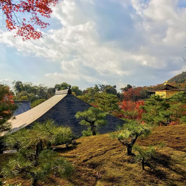 Kyoto: City Secrets eBike Tour - Zen Gardens and the Calm Shift You Can Actually Feel