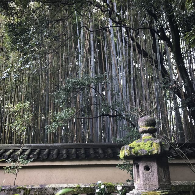 Kyoto: City Secrets eBike Tour - Tea at Daitoku-ji and the Culture of Slow Hospitality