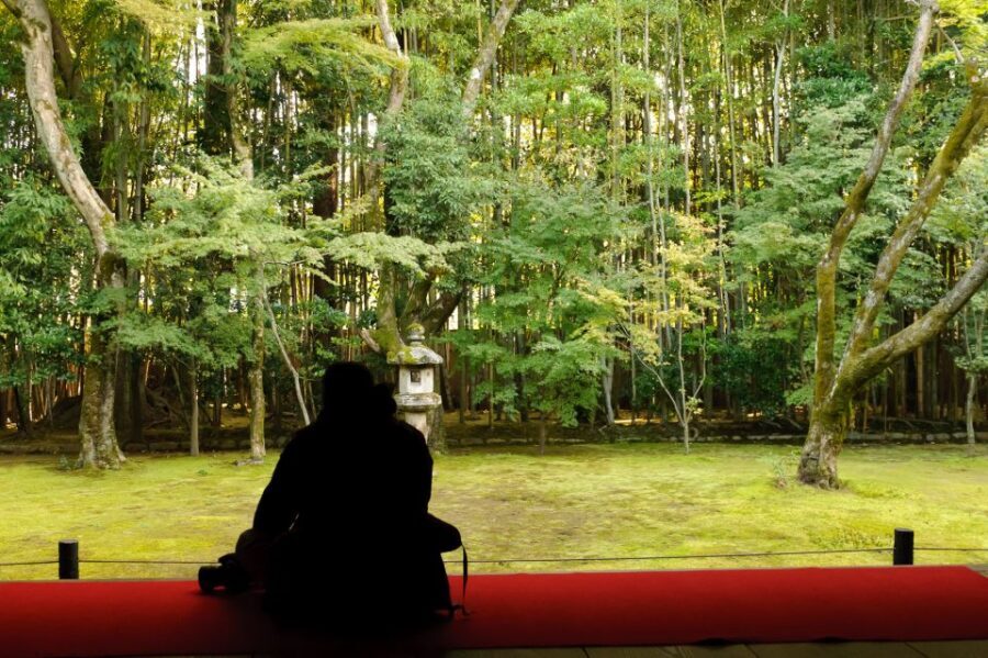 Kyoto: City Secrets eBike Tour - Terrain and Safety: What the Ride Feels Like