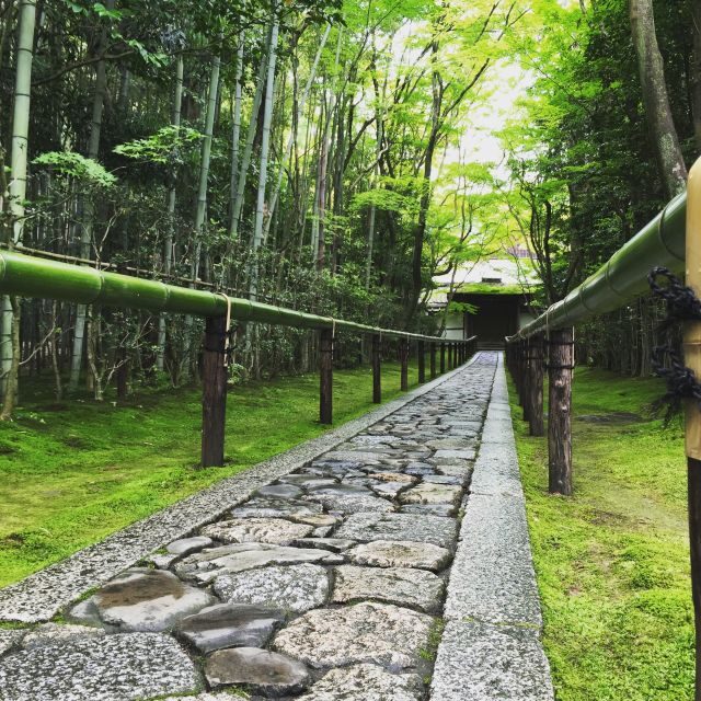 Kyoto: City Secrets eBike Tour - Value and Price: Is $127 Worth Your Afternoon?