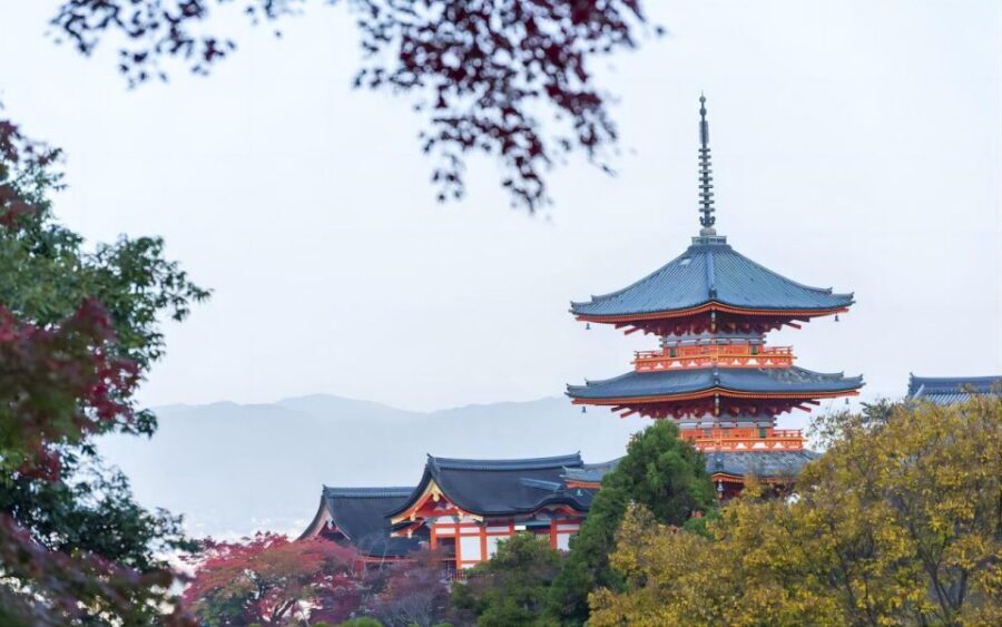 Kyoto: Customizable Full-Day Tour with Privarte Transfers - Private Car Starts at Your Hotel, Not at a Train Platform