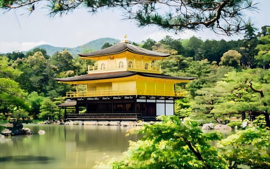 Kyoto: Customizable Full-Day Tour with Privarte Transfers - The $234 Price: When This Tour Feels Like a Bargain