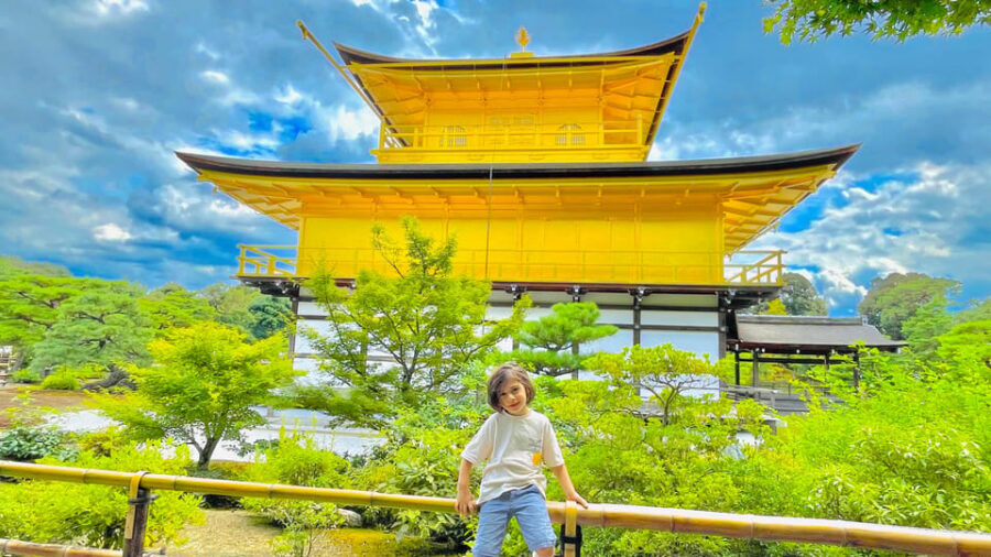 Kyoto Day Tour with Certified Tour Guide & Luxury vehicle - Price and value: what $490 per group up to 6 really buys