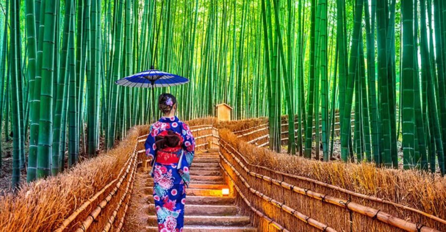 Kyoto Day Tour with Certified Tour Guide & Luxury vehicle - How the private Kyoto day tour works (and why it feels easier)