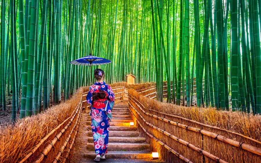 Kyoto Day Tour with Certified Tour Guide & Luxury vehicle - Pickup flow and how the 10 hours get paced