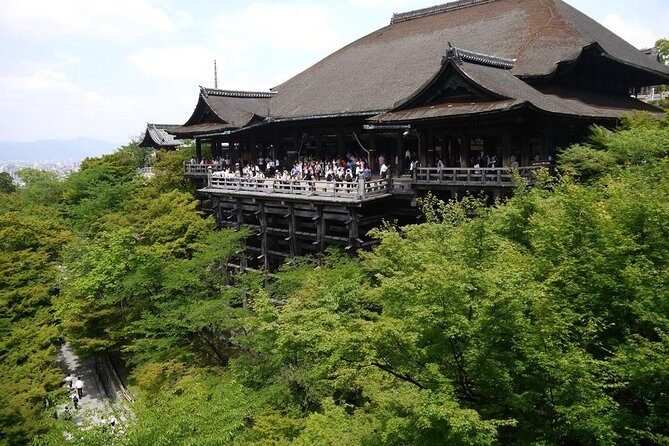 Kyoto Day Trip using Private Car with English Driver (up to 5) - What Your Driver Adds (Beyond Directions)