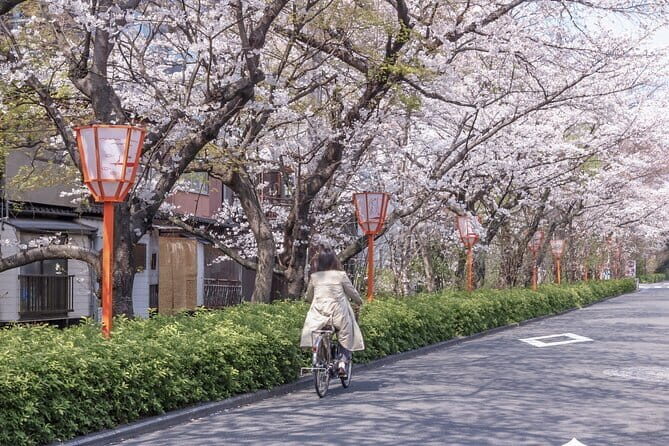 Kyoto E-Bike Tour of Hidden Gems, Backstreets and Temples - Meeting Point at Gion: Starting Easy, Ending Simple