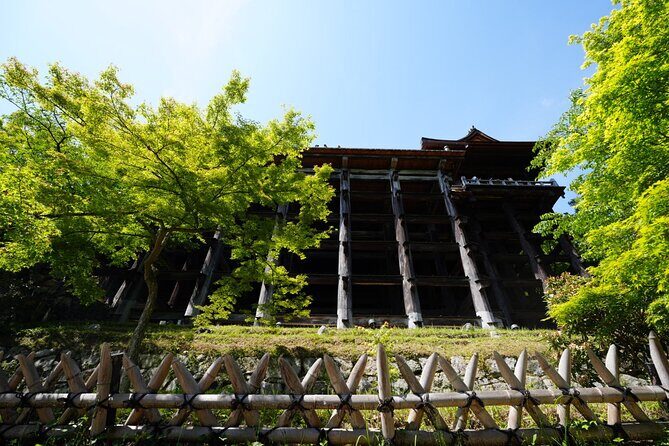 Kyoto Early Morning E Biking Tour Fushimi Inari Kiyomizu Temple - Practical tips to get the best morning out of it