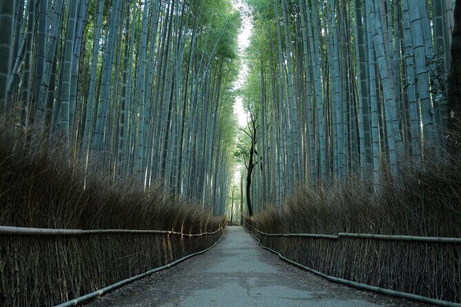 Kyoto Early Morning Tour with English-Speaking Guide - A small group matters: how guides keep the pace