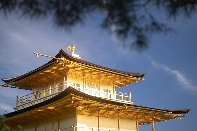 Kyoto Early Morning Tour with English-Speaking Guide - Arashiyama Bamboo Grove in calm light, plus a breather