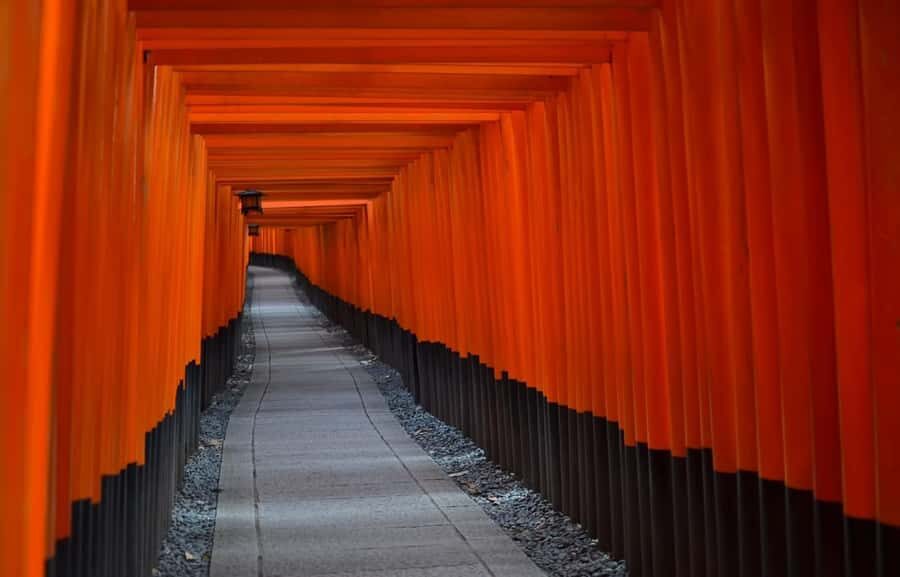 Kyoto : Flexible 3 hours Tour with a English Speaking guide. - The Big Practical Value: Less Guesswork About Kyoto