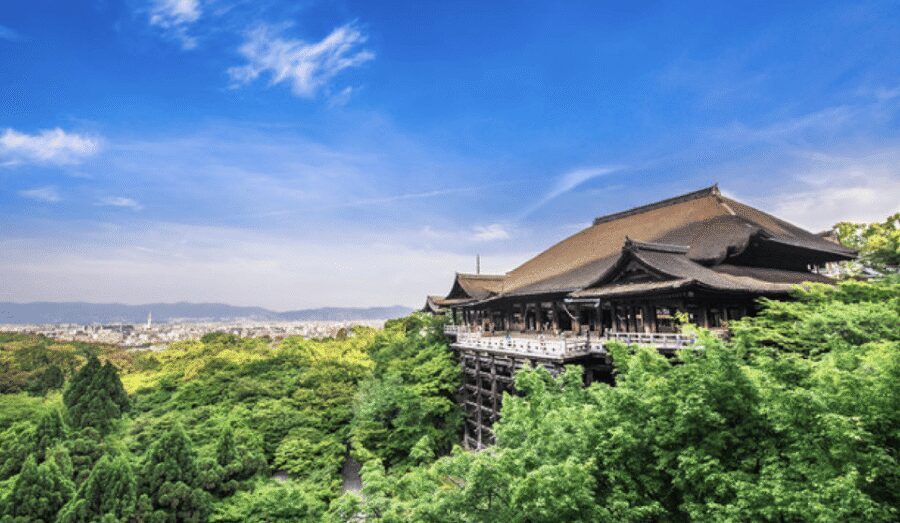 Kyoto: Fully-Customized One-day Private Tour - Why this private format works better than a rushed group
