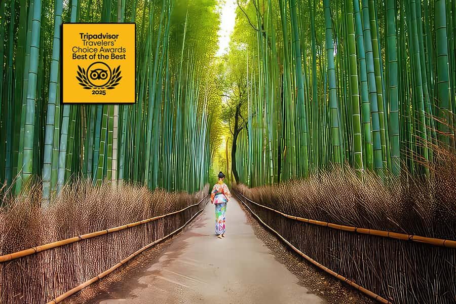 Kyoto: Fushimi, Arashiyama - Bamboo, Monkey, Torii & Secrets - Fushimi Inari’s red gates: where the walk becomes the point