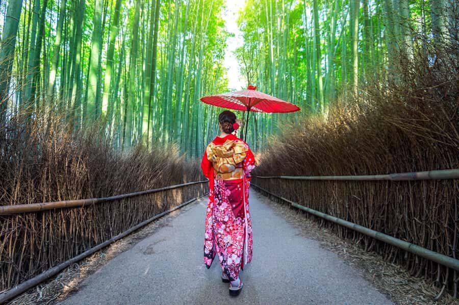 Kyoto: Fushimi, Arashiyama - Bamboo, Monkey, Torii & Secrets - Hidden Kyoto paths: why the guide makes the day feel smarter