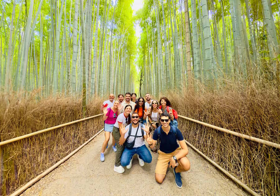 Kyoto: Fushimi, Arashiyama - Bamboo, Monkey, Torii & Secrets - Timing, pacing, and what to wear (so you enjoy it)