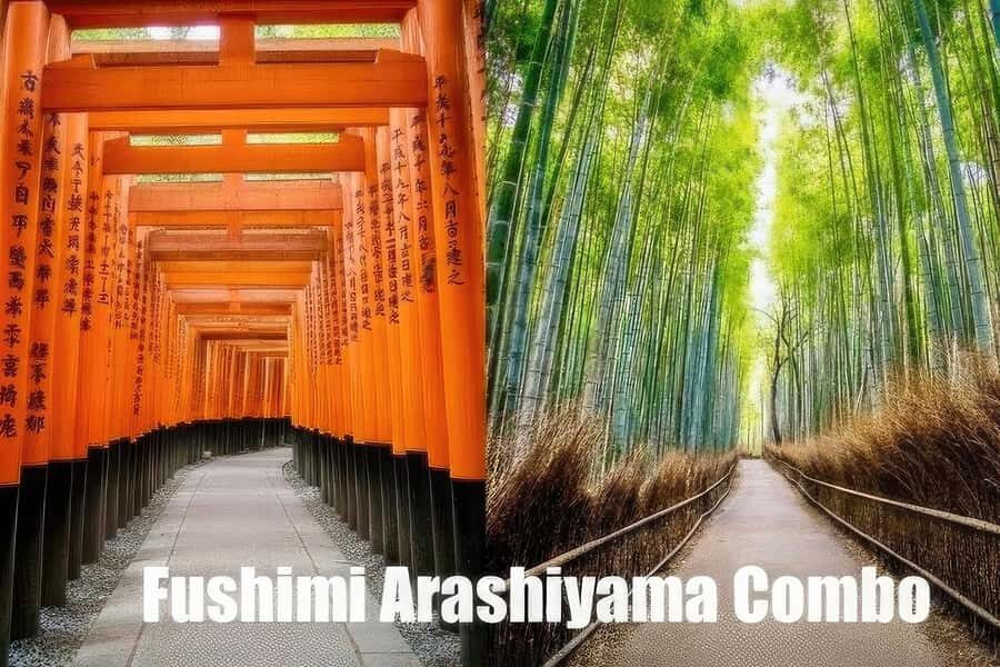 Kyoto: Fushimi, Arashiyama - Bamboo, Monkey, Torii & Secrets - Arashiyama bamboo: the Kyoto photo everyone recognizes