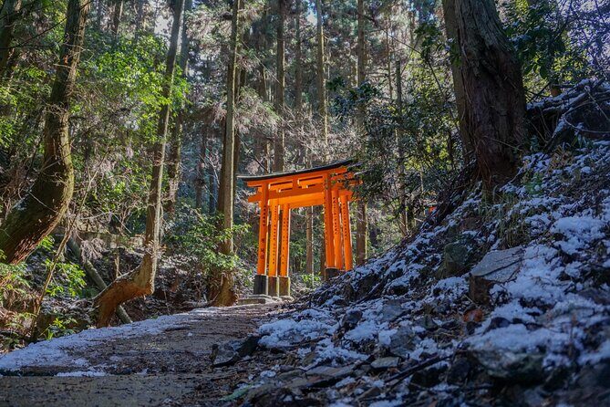 Kyoto: Fushimi Inari Hidden Hike (Private) - Key highlights worth your time