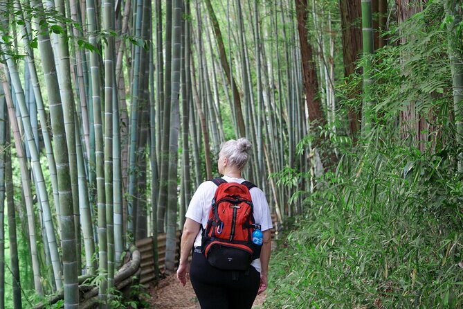Kyoto: Fushimi Inari Hidden Hike (Private) - The quieter Mt. Inari hike and Shinto explanations on the way