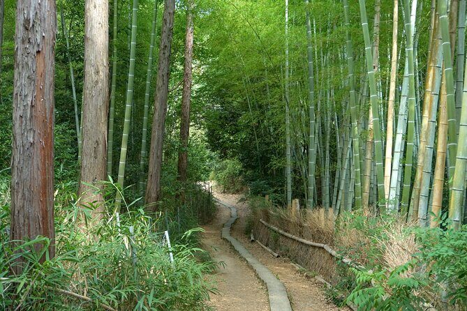 Kyoto: Fushimi Inari Hidden Hike (Private) - Coming back down with Fushimi Momoyama Castle views