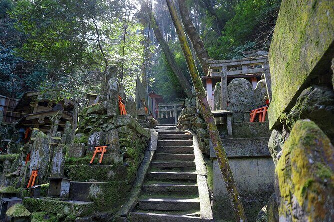 Kyoto: Fushimi Inari Hidden Hike (Private) - Meeting point, timing, and how the 3 hours flows