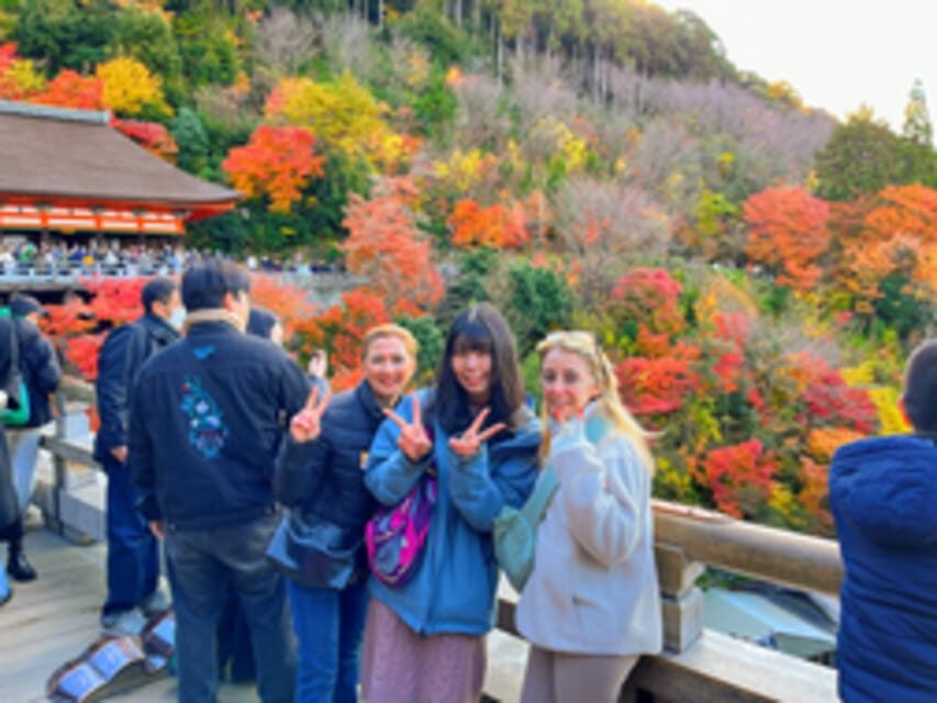Kyoto: Fushimi Inari, Kinkakuji, Bamboo Grove 1 Day Bus Tour - Fushimi Inari Taisha: the torii tunnel walk you’ll remember