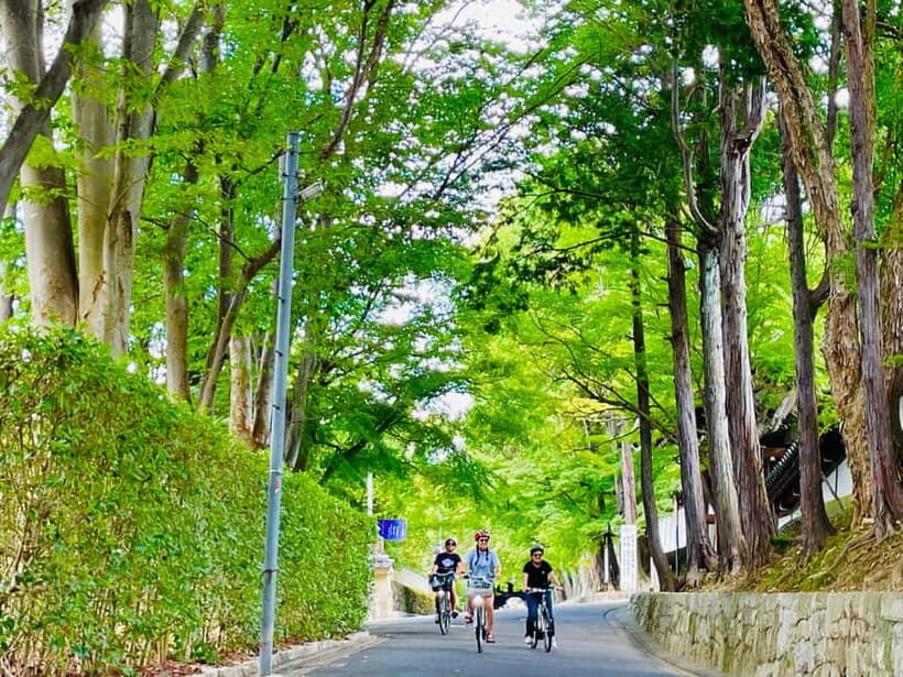 Kyoto: Fushimi Inari Shrine and Tofukuji Temple E-Bike Tour - Key Points at a Glance