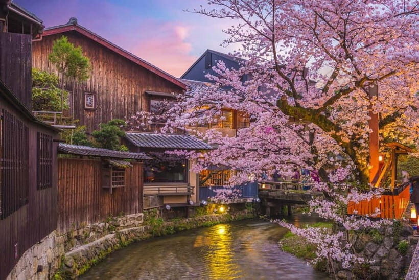 Kyoto Geisha Walking Tour: Gion District & Hidden Gems - Temples and pagoda stops: why they matter to your Geisha-culture understanding