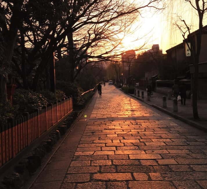 Kyoto Geisha Walking Tour: Gion District & Hidden Gems - Price and value: $25 for context, walking, and photo help