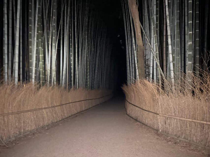 Kyoto: Ghost Tour - Legends, Dark Tales, Bamboo Forest Night - Who Should Book This Kyoto Ghost Tour (and Who Should Skip)