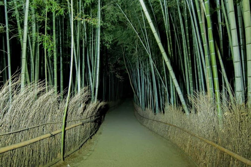 Kyoto: Ghost Tour - Legends, Dark Tales, Bamboo Forest Night - Practical Tips: What to Bring and How to Avoid Ruining the Night