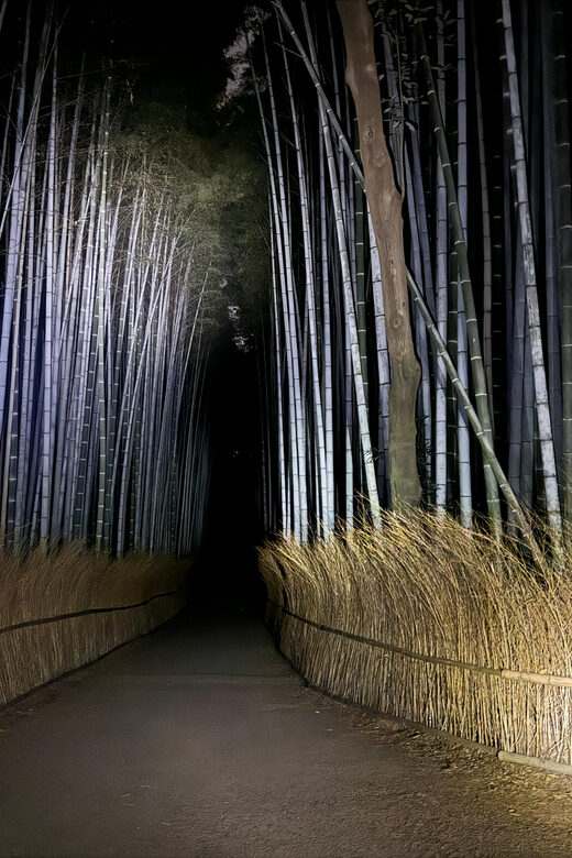 Kyoto: Ghost Tour - Legends, Dark Tales, Bamboo Forest Night - Meeting at Saga-Arashiyama Station: Simple Logistics, Strict Rules