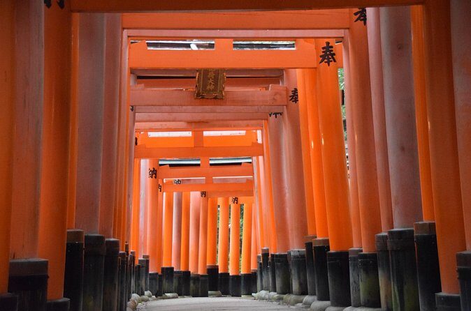 Kyoto Guided Walking Tour Highlight of Kiyomizu & Fushimi Inari - Fushimi Inari-taisha: torii gates, photo timing, and quieter routes