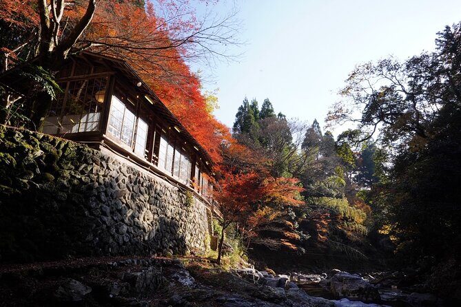 Kyoto Hidden Riverside Zen Mediation and Uji Matcha Experience - Price and Value: Is $105 a Good Deal for a 2-Hour Workshop?