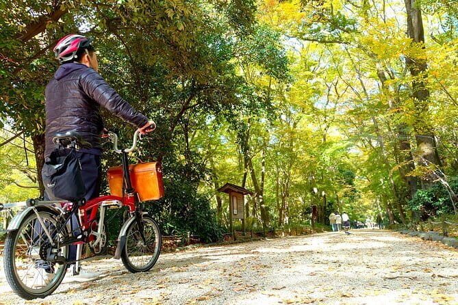 Kyoto: Higashiyama Slow Cycling Tour along the quiet waterfront - The Philosophy Path and Nanzen-ji: Footsteps, Gates, and Water Logic