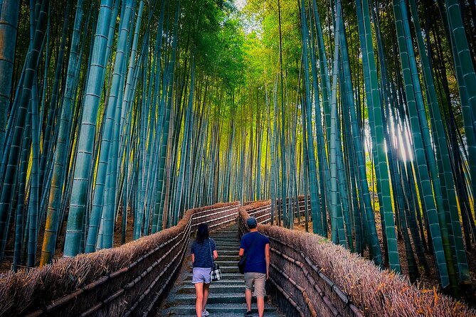 Kyoto Highlights & Hidden Gems in Nature (Private Van Eng-Guide) - Arashiyama bamboo, plus the moss-and-garden side you’ll remember