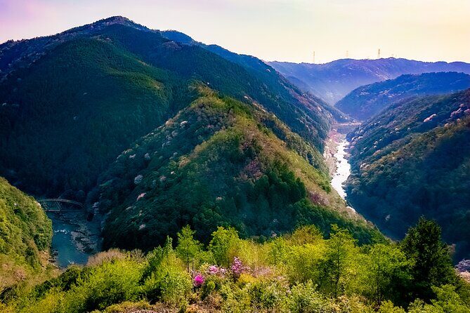 Kyoto Highlights & Hidden Gems in Nature (Private Van Eng-Guide) - Two quick mountain breaks: Mt. Ogura Observatory and Hozukyo gorge