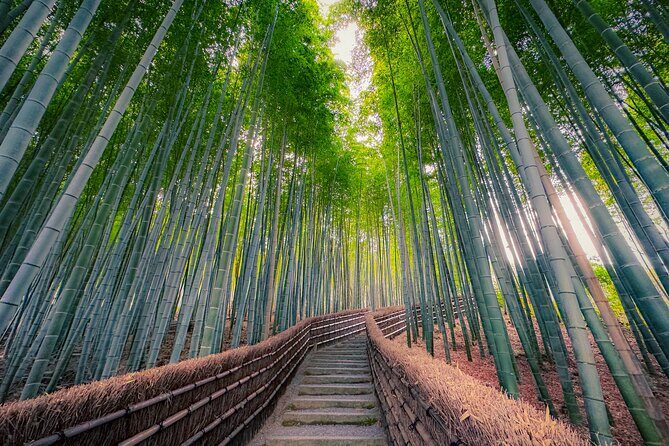 Kyoto Highlights & Hidden Gems in Nature (Private Van Eng-Guide) - Geisha district street views from the van: easier photos, less crowd pain