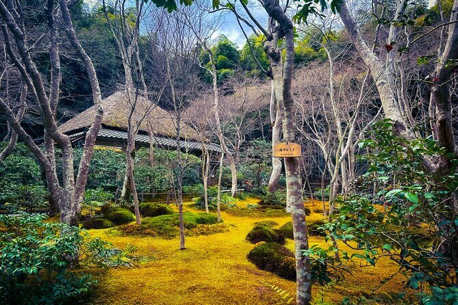 Kyoto Highlights & Hidden Gems in Nature (Private Van Eng-Guide) - Heian Jingu’s huge torii and then Fushimi Inari’s gate walkway