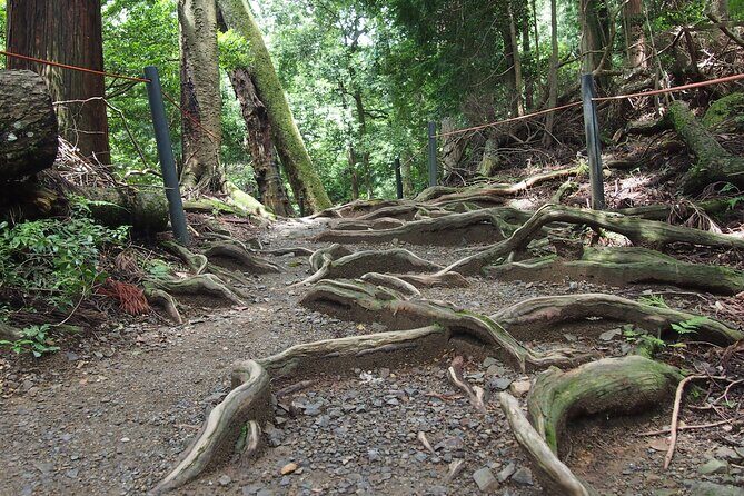 Kyoto Hiking Tour: The Nature and Legends of Kurama and Kibune - The hiking reality: stairs, uneven ground, and how to be comfortable