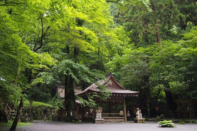 Kyoto Hiking Tour: The Nature and Legends of Kurama and Kibune - Door-to-door hotel pickup: the stress-saver you’ll actually notice