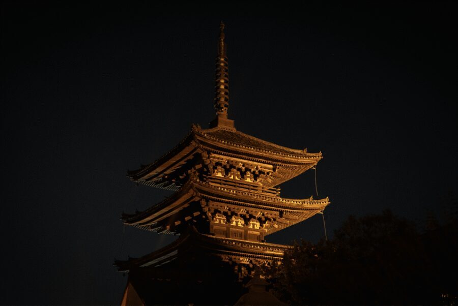 Kyoto: Izakaya Bars Guided Walking Tour - Who should book this Kyoto izakaya walking tour?