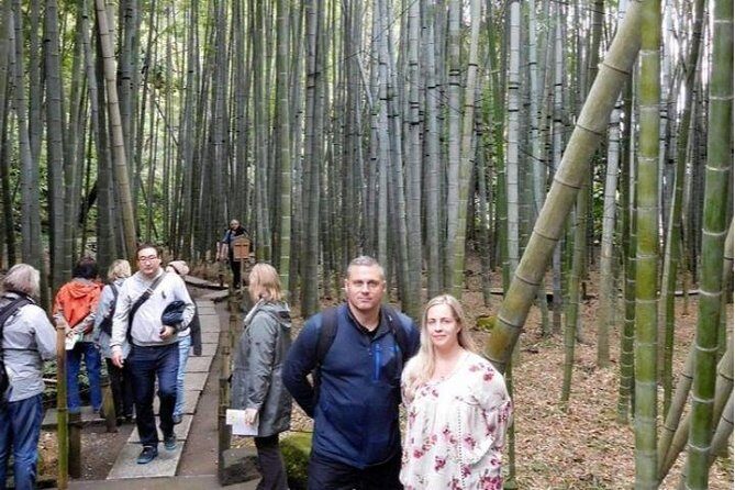Kyoto Japanese Garden Lover's Private Tour with Government-Licensed Guide - Stop-by-stop: What You’ll Experience at Each Garden and Temple