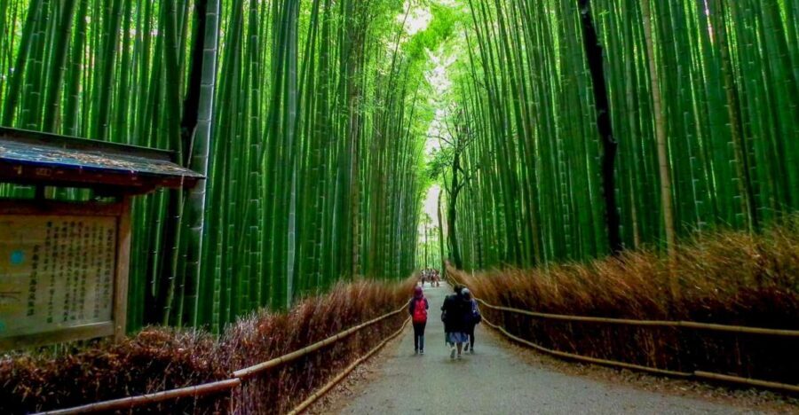 Kyoto: Japanese Gardens Private Customizable Tour - Key highlights to know before you go