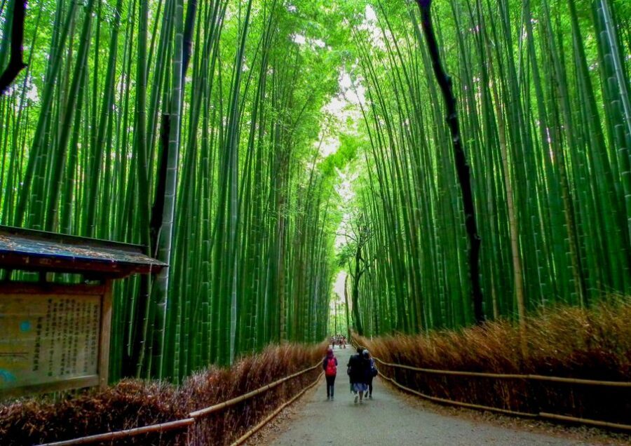 Kyoto: Japanese Gardens Private Customizable Tour - A private Zen-garden day in Kyoto, tuned to you
