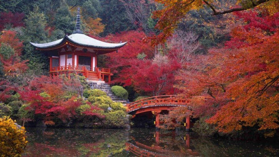 Kyoto: Japanese Gardens Private Customizable Tour - Planning the day around Kyoto’s garden heavy-hitters