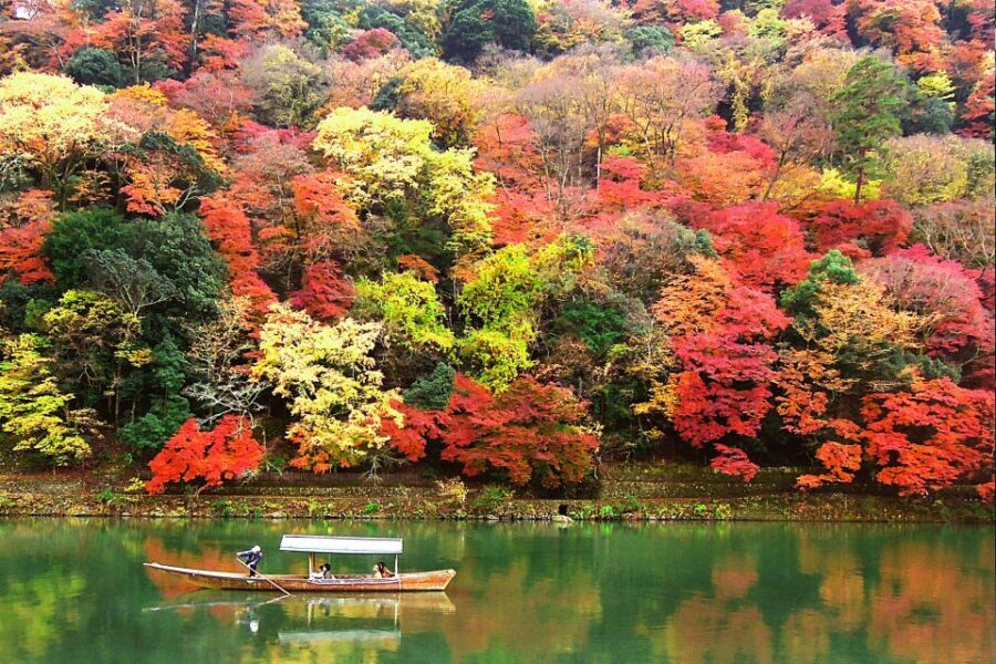 Kyoto: Japanese Gardens Private Customizable Tour - What weather means for your Zen garden day