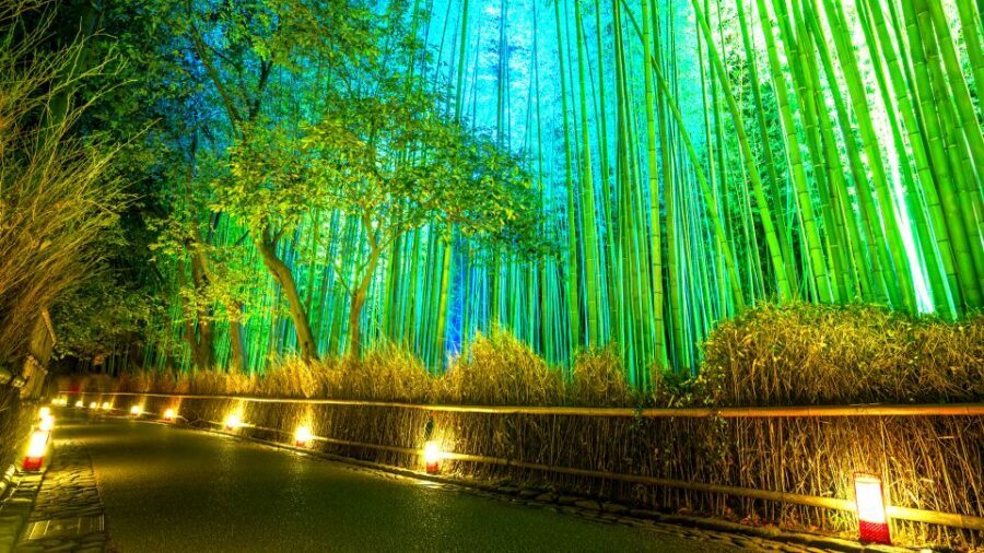 Kyoto: Japanese Gardens Private Customizable Tour - The 6-hour rhythm: how your guide builds a balanced garden mix